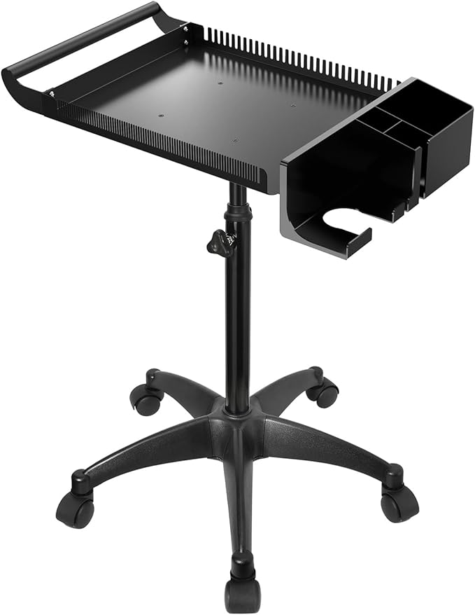 Hairstylist Rolling Cart, Salon Tray Cart on Wheels, Salon Trolley Braiding Hair Rack,Coloring Tray with Holder, Rolling Tool Trolley Hairstylist Station Organizer