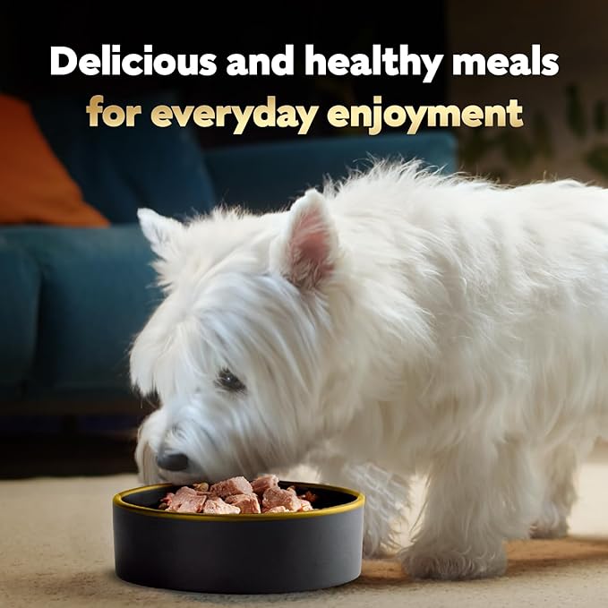 Cesar Wet Dog Food Steak and Chicken Lovers Variety Pack with Real Beef or Real Chicken, 3.5 oz. Easy Peel Trays, 36 Count