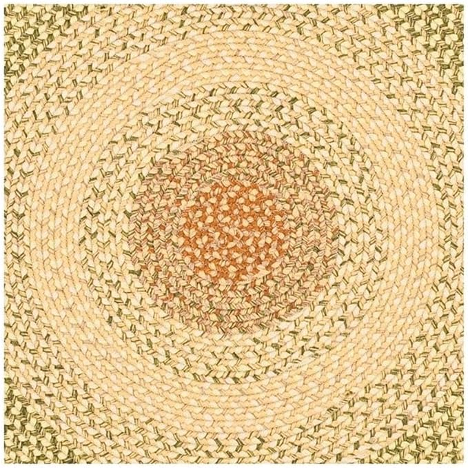 SAFAVIEH Washable Rug Outdoor Braided Collection - 9' Round, Rust & Multi, Handmade & Reversible, Non-Shedding & Easy to Clean, Ideal for Patio, Backyard, Mudroom (BRD303A)