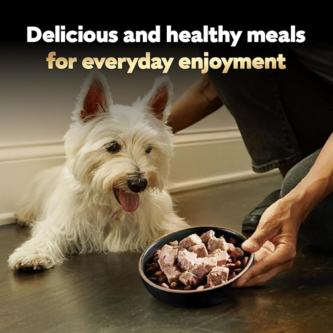 Cesar Wet Dog Food Classic Loaf in Sauce, Filet Mignon Flavor, Porterhouse Steak Flavor, Grilled Steak & Eggs Flavor, and Beef Flavor, 3.5 oz. Easy Peel Trays, Variety Pack, 60 Count (Pack of 1)