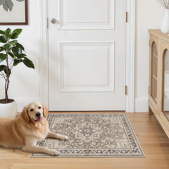 Vintage Living Room Area Rug 3x5 - Large Soft Washable Oriental Traditional Distressed Farmhouse Rugs for Bedroom - Indoor Floor Accent Carpet for Home Office House Decor - Brown