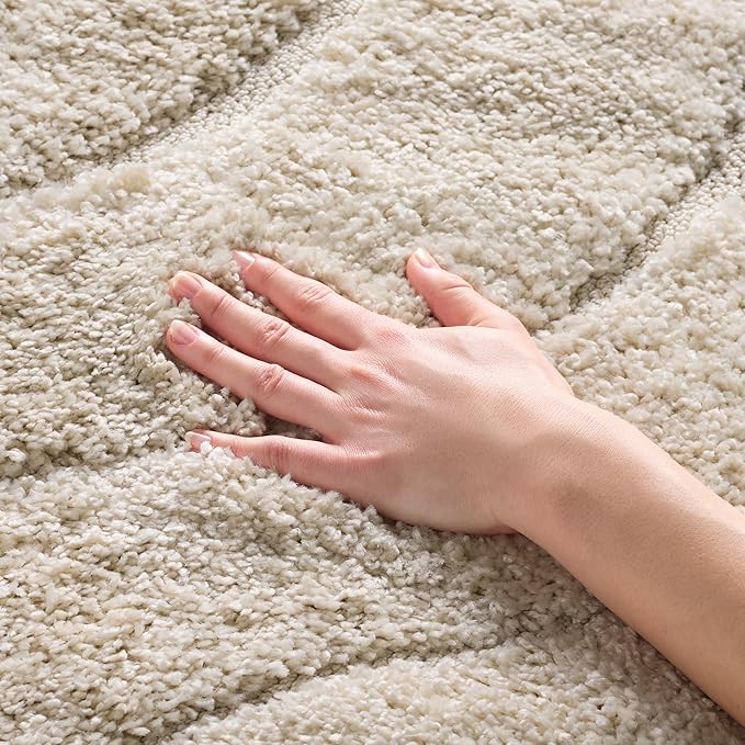 SAFAVIEH Area Rug 8x10 - Florida Shag Collection - Large - Creme & Creme, Non-Shedding & Easy Cleaning, Plush Thick Pile, Ideal for Living Room, Bedroom, Dining Space (SG472-1111)