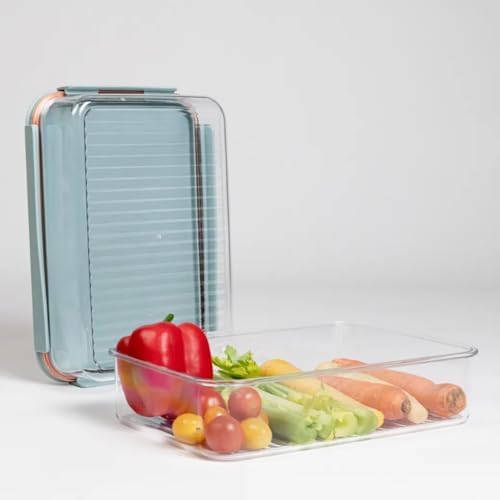 LocknLock LBF406RS2M Modular Plus Food Storage Container,4 set (2 containers & 2 Lids)- Mint