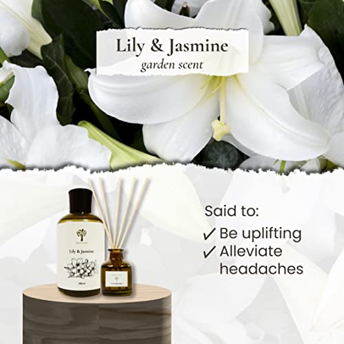 PRISTINE Lily & Jasmine Reed Diffusers for Home & Bathroom | Refreshing Lily of Valley & Jasmine Room Fragrance Reed Diffuser, Oil & Room Diffusers with Reeds Stick Set | Home Frag - Image 4