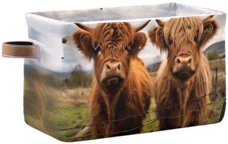 Storage Basket Scottish Highland Cow Rectangular Collapsible Canvas Shelves Storage Bins with Leather Handles for Shelves Home Closet Bedroom Living Room, 1Pack