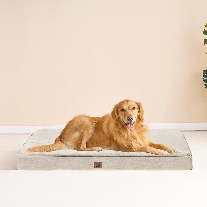 EHEYCIGA Memory Foam Dog Bed Orthopedic 47"x29"，Waterproof Pet Bed for XXLarge Dog Bed ，Washable Pet Mat with Removable Cover, Beige