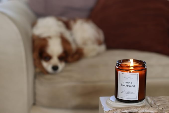 Jasmine, Sandalwood Coconut Wax Candle Non Toxic Aromatherapy Candle with Essential & Prime Rated Natural Fragrance Oils, Clean Burning Amber Jar Candle, 7 oz Small Batch