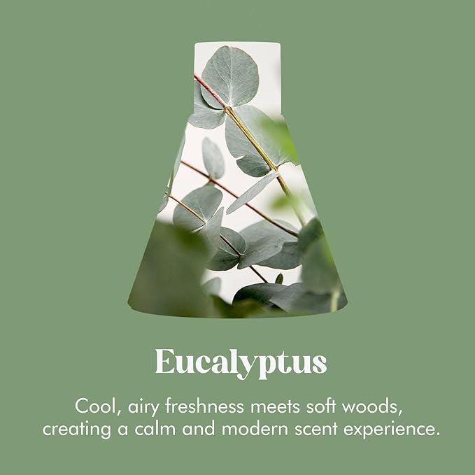 Reed Diffuser Set, Eucalyptus Scented Diffuser for Home, Home Fragrance Scent Essential Oil Stick Diffuser for Room Shelf Decor, 3.4 oz