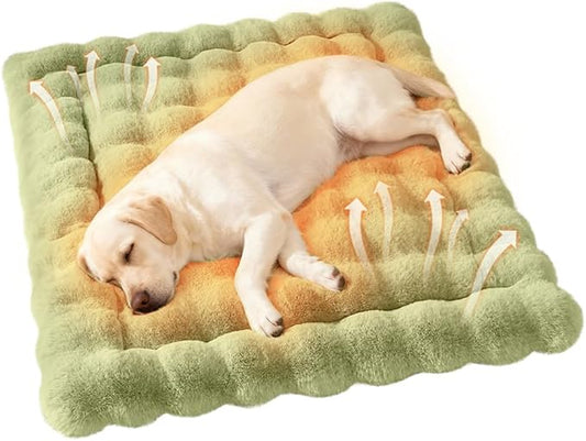 Cat Beds for Indoor Cats Faux Fur Pet Pad Mat Plush Kitten Bed with Non-Slip Bottom for Carriers/Couch Dog & Puppy Friendly 35 x 27 Inch X-Large Green