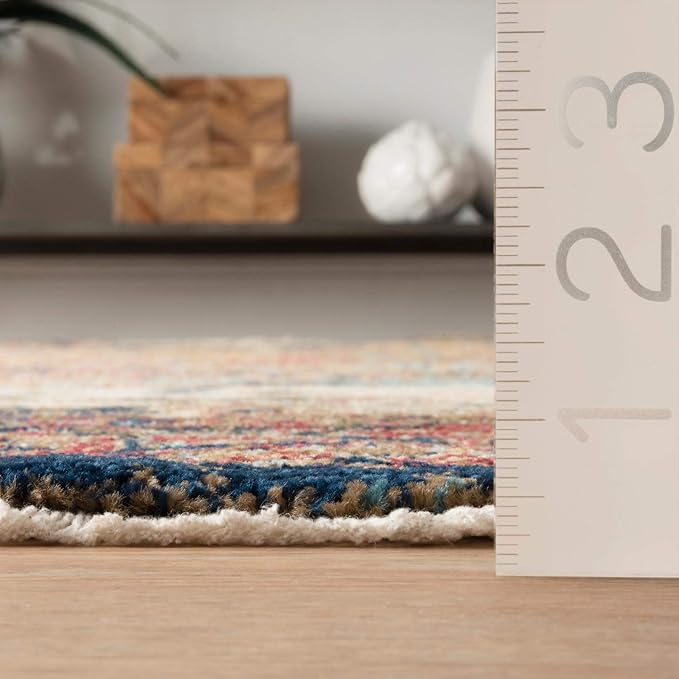 nuLOOM Vintage Magdala Area Rug, 4x6, Multi