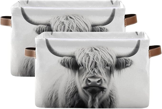 Storage Basket Highland Cow Storage Bin Cube with Handles Foldable Storage Baskets for Shelves Living Room Home Decor 2PCS