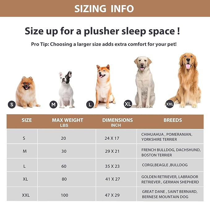 Dog Crate Pad for Small Dogs - 24x18 Orthopedic Dog Bed with Memory Foam, Washable Water-Resistant Soft Pet Mat with Non-Slip Bottom, Khaki