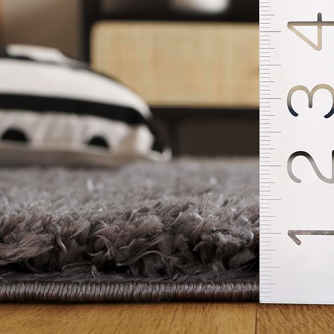 SAFAVIEH Lindsay Shag Collection Area Rug - 9' x 12', Dark Grey, Contemporary Design, Ideal for High Traffic Areas in Living Room, Bedroom & Dining Room (LNS560G-9)