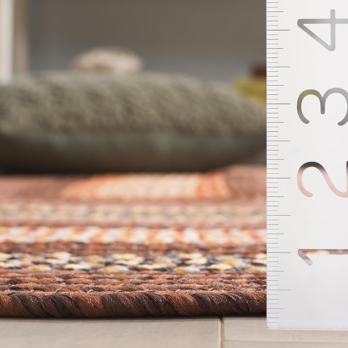 SAFAVIEH Washable Rug Outdoor Braided Collection - 4' x 6' Oval, Brown & Light Brown, Handmade & Reversible, Non-Shedding & Easy to Clean, Ideal for Patio, Backyard, Mudroom (BRD313T)
