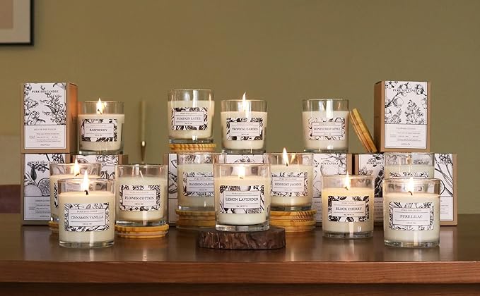 Aronica Pet Safe Candles Apple Scented, Long Lasting Scented Candles, Honeycrisp Apple Candle Clean Non Toxic, Fruity Candles Scented