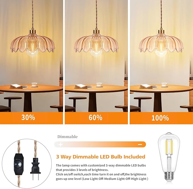 Plug in Pendant Light Hanging Lights with Plug in Cord Mid Century Modern Gold Hanging Lamp Glass Vintage Dimmable Flower Chandelier Ceiling Fixture for Living Room,Kitchen,Boho