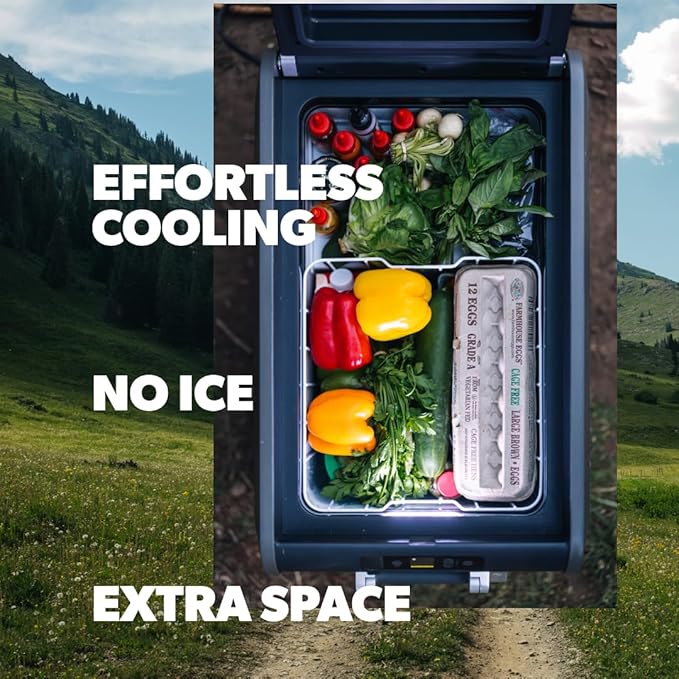 Dometic CFX Electric Cooler | Portable Freezer | CFX5 & CFX3 Series | AC/DC or Solar Powered