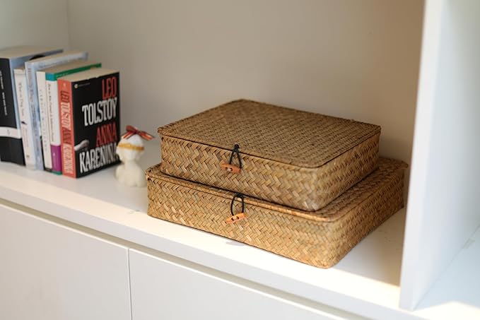 DOKOT Flat Seagrass Storage Bins with Lid, Wicker Basket for Shelf Organize, Set of 2 (Small+Large)