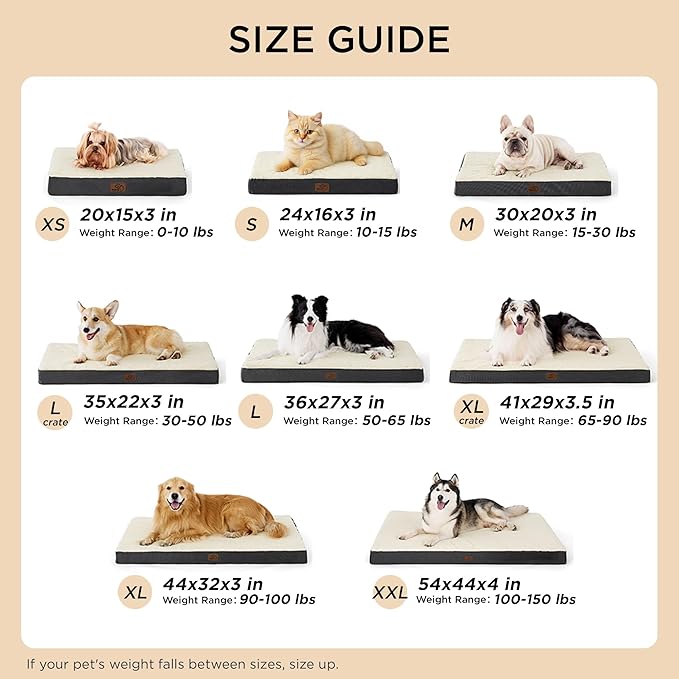 Bedsure Dog Bed for Small Dogs - XS Comfy Flat Puppy Beds with Removable Washable Cover, Orthopedic Egg Crate Foam Pet Mat, Suitable for Pet or Cats Up to 10 lbs