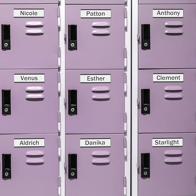 300 Pieces Magnetic Label Holders Channel Labels Racks Magnetic Card Holders with Protective Films and Replacement Strips for Metal Shelf, Filing Cabinet, Mailbox, Whiteboard (1 x 3 Inch)