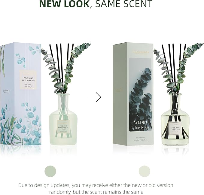 COCORRÍNA Eucalyptus & Wild Mint Reed Diffuser – 6.76 oz Essential Oil with 8 Reeds & Real Eucalyptus Sticks, Home Fragrance for Bedroom or Bathroom Décor