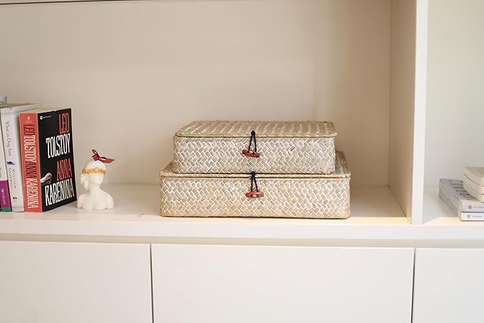DOKOT Whitewash Flat Seagrass Storage Bins with Lid, Wicker Basket for Shelf Organize, Set of 2 (Small+Large)