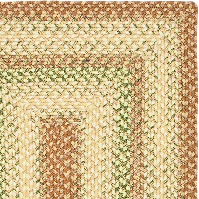 SAFAVIEH Washable Rug Outdoor Braided Collection - 2' x 3', Rust & Multi, Handmade & Reversible, Non-Shedding & Easy to Clean, Ideal for Entryway, Patio, Kitchen, Mudroom, Front Door (BRD303A)
