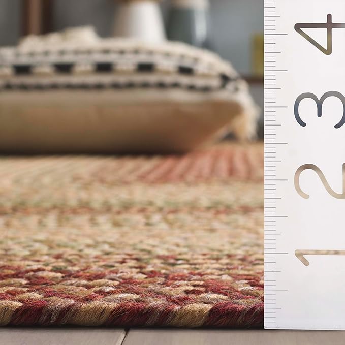 SAFAVIEH Washable Rug Outdoor Braided Collection - 9' x 12' Oval, Rust & Multi, Handmade & Reversible, Non-Shedding & Easy to Clean, Ideal for Patio, Backyard, Mudroom (BRD303A)