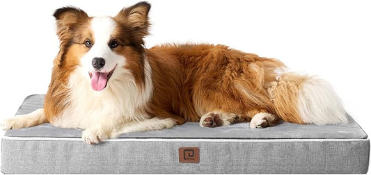 EHEYCIGA Memory Foam Dog Bed Orthopedic 41"x27"，Waterproof Pet Bed for XLarged Dogs ，Washable Pet Mat with Removable Cover, Grey
