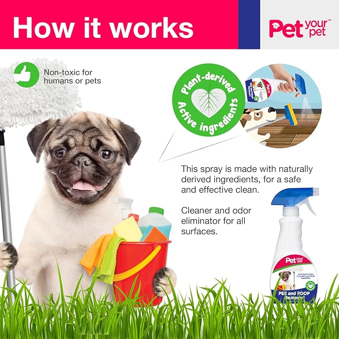 Dog Pee and Poop Remover 32 fl Oz. – All-in-One Pet Stain and Odor Remover with Plant-Derived Ingredients – Stain and Odor Removers for Upholstery, Carpets, Leather & Hard Floors