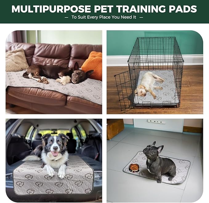 FXW Washable Pee Pads for Dogs, Puppy Pads with Super Absorbent, Specifically Designed for Whelping Box, 39" Round, Khaki, 1 Pack