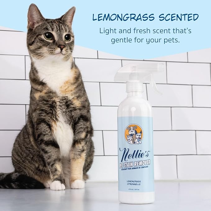 Nellie's Pet Stain & Odour Remover - Lemongrass Scented - Safe on Fabrics & Carpets - Pet-Safe & Powerful Formula - Removes Stains & Odours for a Fresher Home - Friendly Cleaner for Pet Accidents