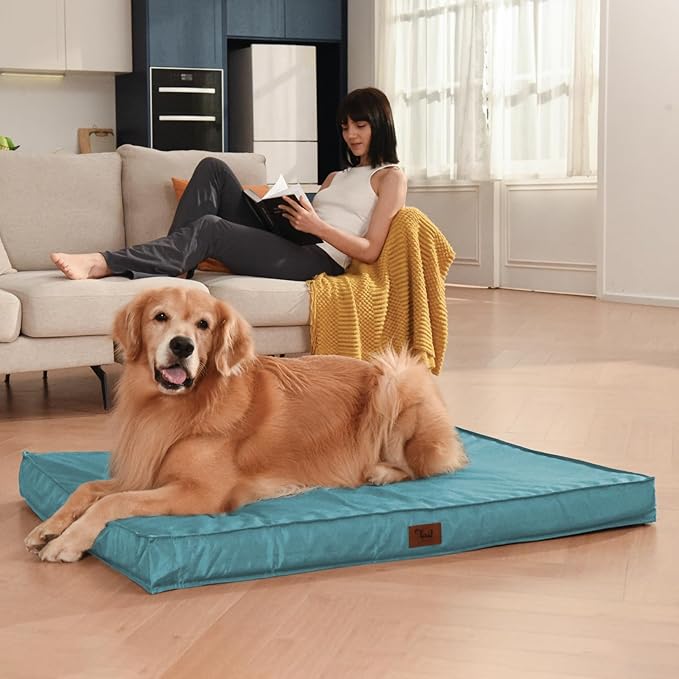 Outdoor Orthopedic Dog Bed for Medium Dogs & Cats, Waterproof Flat Pet Mat with Egg Crate Foam & Washable Removable Oxford Cover, 30x20 Inch, Light Blue