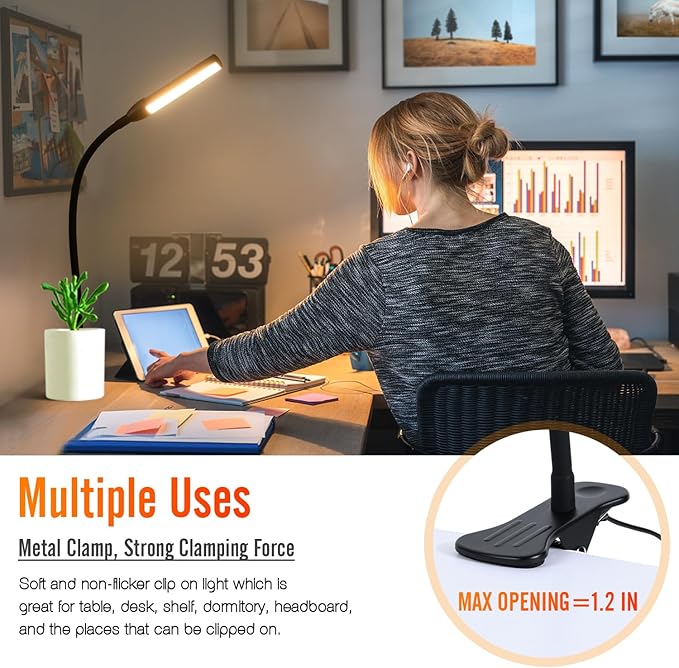 Clip on Reading Lamp, Clip Light, Warm & Daylight & White Light 3 Colors, Eye-Care Clamp Lamp with 10 Dimmable Illumination Modes