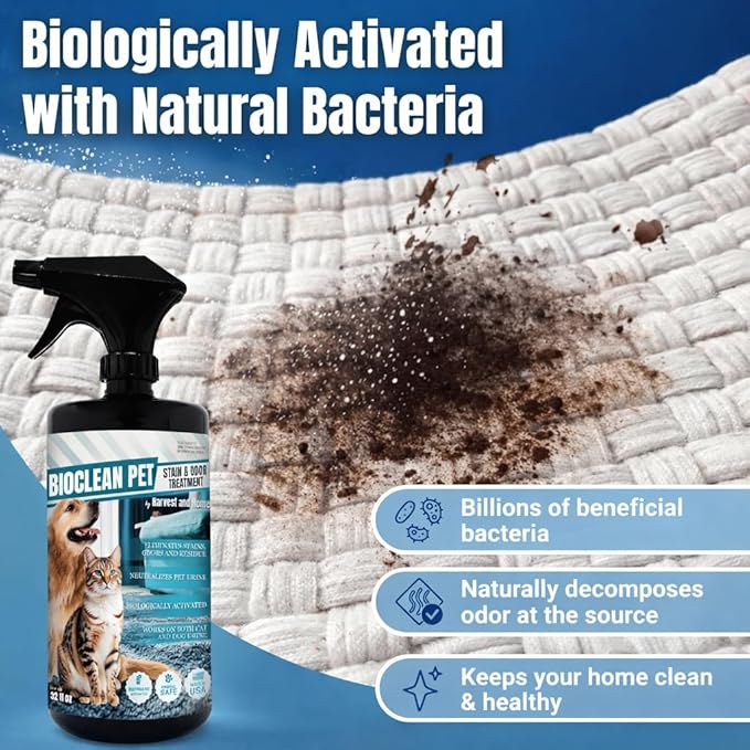 Bioclean Pet Carpet Cleaner & Deodorizer – Eliminates Pet Urine Smell, Stain & Odor Remover, No Residue, Made in USA – 16oz