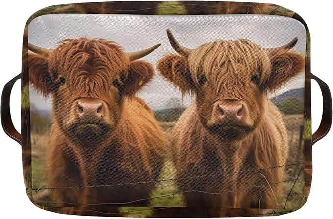 Storage Basket Scottish Highland Cow Rectangular Collapsible Canvas Shelves Storage Bins with Leather Handles for Shelves Home Closet Bedroom Living Room, 1Pack