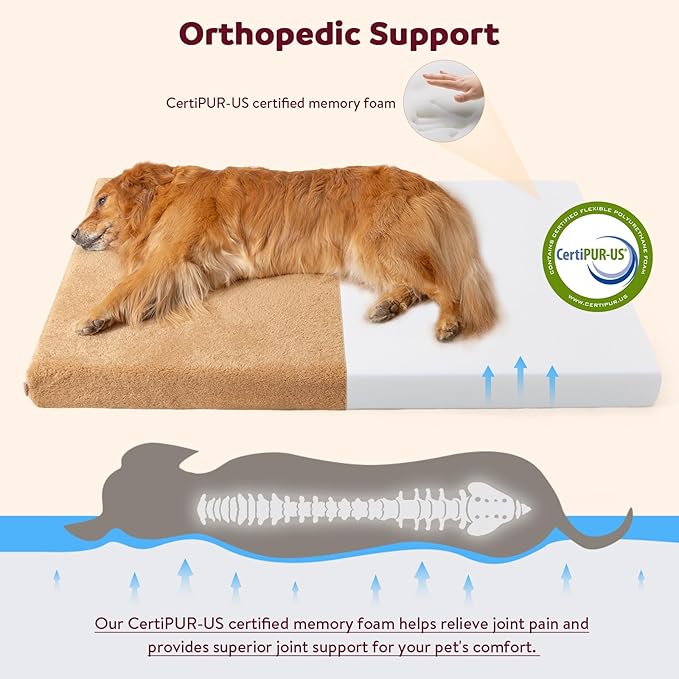 Self-Warming Orthopedic Dog Bed Medium Size Dogs - Memory Foam for Joint Pain & Arthritis, Comfort Pet Bed w/Washable Removable Cover & Waterproof Liner, Dog Couch w/Raised Bolster & Non-Slip Base