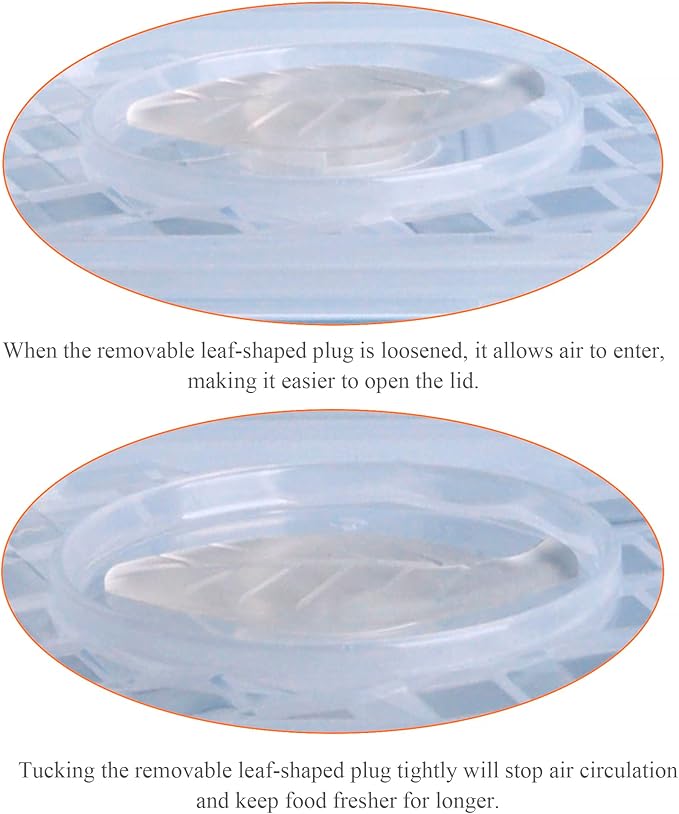 Borosilicate Tempered Glass Food Storage Containers with Lids, [10 Pack] Airtight Lunch Containers. Microwave, Oven, Freezer and Dishwasher Safe.