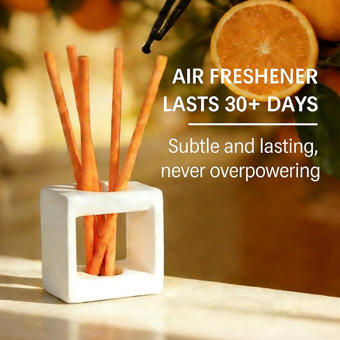 Non-Toxic Air Freshener Stix - Natural Essential Oils Infused, 30 Days Long-Lasting Freshness, 5 Pcs 6" Per Pack for Car Home Office，Ceramic Base not Included (Black Vanilla and Mandarin)