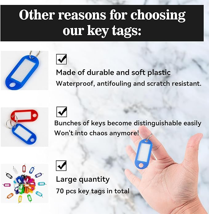 Sukh 100 PCS Key Ring Tags - Key Tags Plastic 10 Assorted Colours,Identifiers,Name and Labels,Adapt to USB Drive,Keys,Pets,Bags,Clothes Racks and Drawers,Rectangular 2.1x4.6cm
