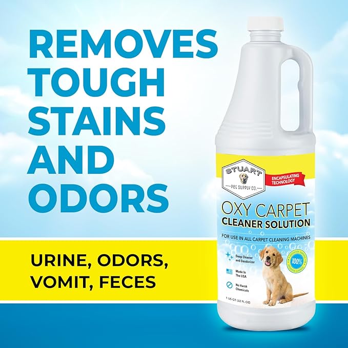 Professional Strength Oxy Carpet Cleaner Solution Deodorizer For use in any Carpet Shampooer Machine for Pet Urine and Stains 32oz.