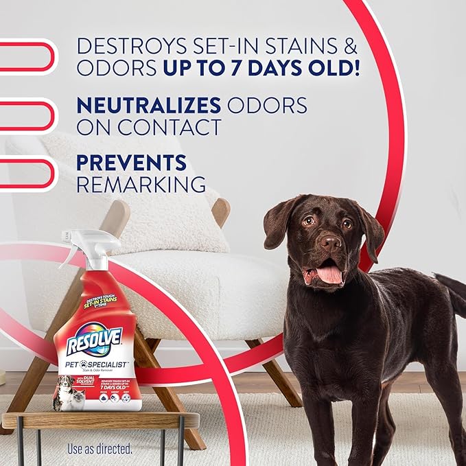 Resolve® Upholstery & Multi-Fabric Spot & Stain Remover 22 oz. + Stain & Odor Remover 22 oz