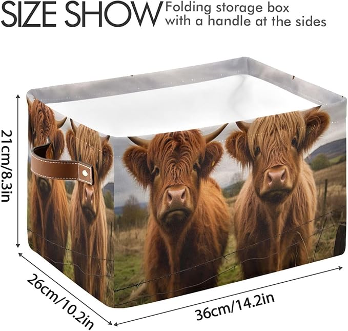 Storage Basket Scottish Highland Cow Rectangular Collapsible Canvas Shelves Storage Bins with Leather Handles for Shelves Home Closet Bedroom Living Room, 1Pack