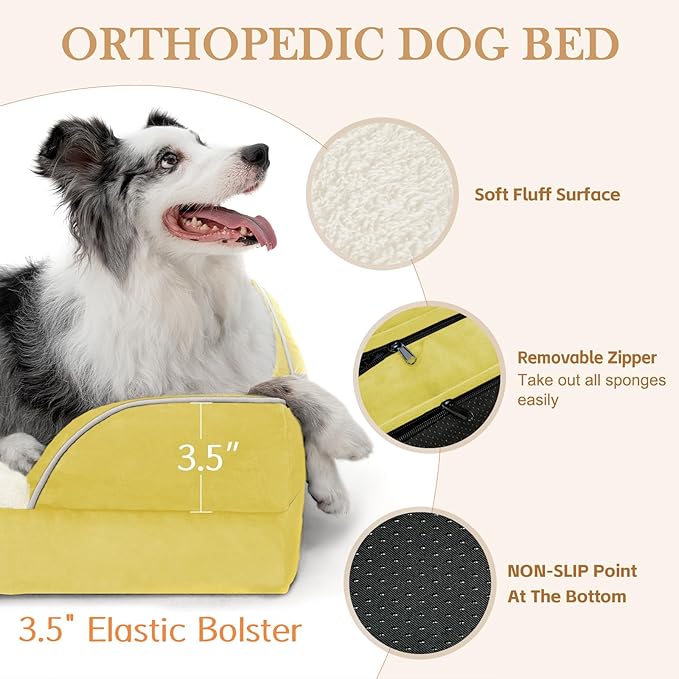 Comfort Expression Orthopedic Dog Bed for Small Dogs 24x16 Inch, Waterproof Egg Crate Foam Small Pet Bed with Removable Bolsters, Dog Couch with Washable Cover & Non-Slip Bottom, Spicy Mustard