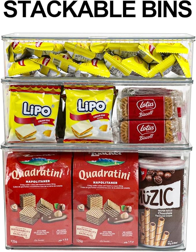Clear Plastic Storage Bin with Lid, Organizer for Pantry, Office, Bathroom, Kitchen, Snack, Tea Bag, Coffee Container (Large)