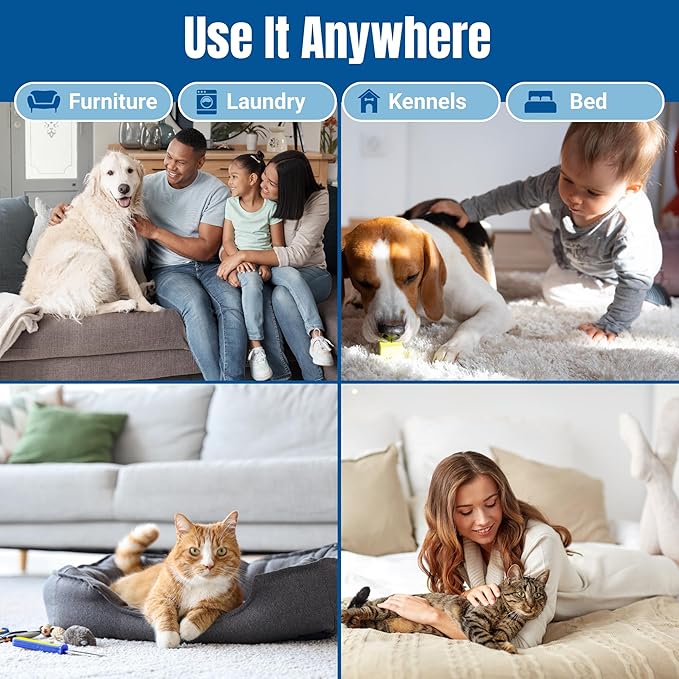 Bioclean Pet Carpet Cleaner & Deodorizer – Eliminates Pet Urine Smell, Stain & Odor Remover, No Residue, Made in USA – 32oz