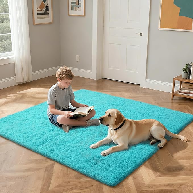 Teal Blue Rug Fluffy Rugs, 4x6 Teal Area Rugs for Bedroom, Soft Cute Baby Play Mat, Indoor Floor Carpet for Teen, Nursery, Preppy Dorm, Plush Aesthetic Bedside Rug