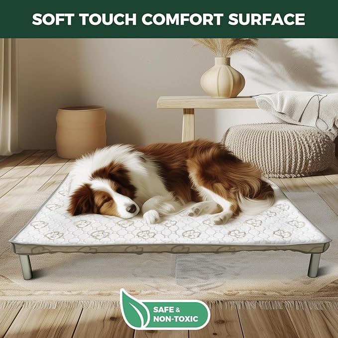 FXW TitanNest Chew-Proof Elevated Dog Bed, Raised Cot for Indoor/Outdoor/Camping Use, Durable & Waterproof Cooling Pet Bed with Exclusive Cover for Toy Dogs, 23.0" L x 17.0" W x 4.5" H, Black