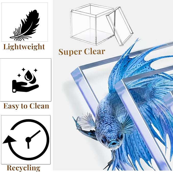 KissYou Acrylic Box with Lid Clear Display Box 8 Pieces Plastic Square Cube Transparent Containers Jewelry Storage Box Wedding Party Favor Candy Boxes