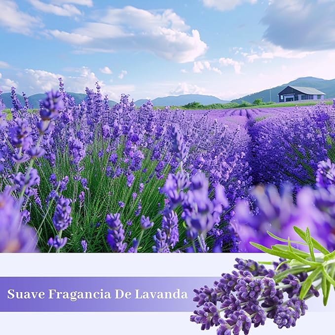 SCENTORINI Scented Drawer Liners for Dresser, 12 Sheets Lavender Scent Drawer Paper Liners,14.3x19.5 Inch Scented Paper Sheets for Home Shelf Closet Bedroom Drawers